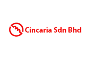 cincaria